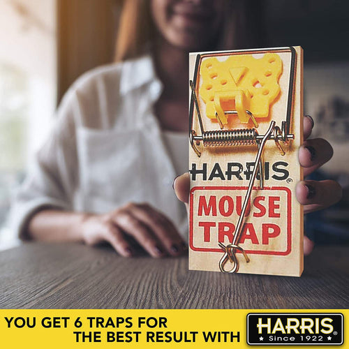 Harris Mouse Snap Trap (2 Pack)