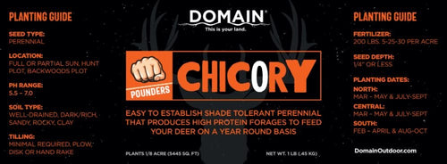 Domain Outdoor Chicory