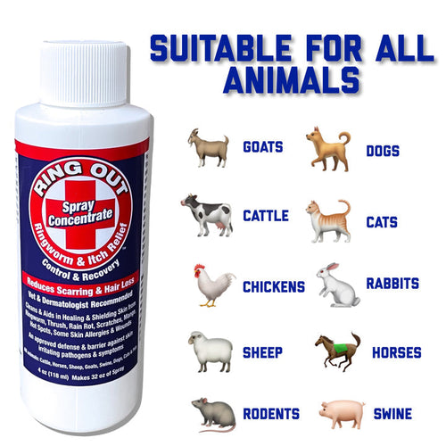 FlexTran Ring Out Concentrate Spray For Ringworm Control. Works on All Pets & Livestock! (4 oz)