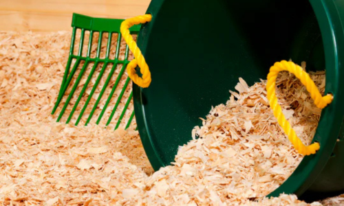 Hay shaving spilling out of a small plastic bucket.