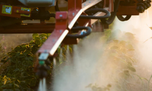 Fertilizer being sprayed out of a tractor onto a crop field.