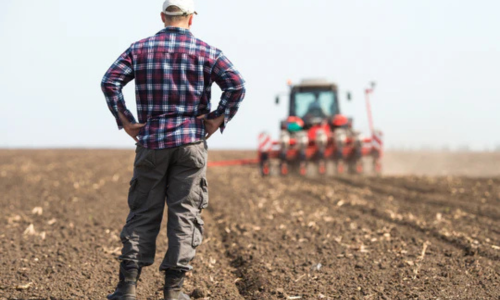 A farmer standing in a field, looking at a tractor at work in the background on a clear day.