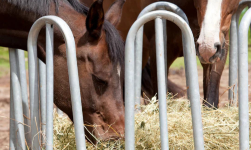 Horses eating hay out of a farm feeder.