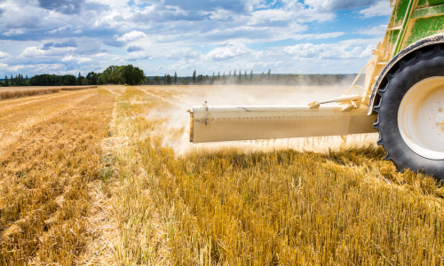 Lime being spread out of a tractor onto a crop field.