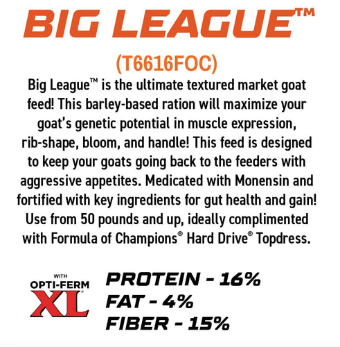 Kalmbach Big League®