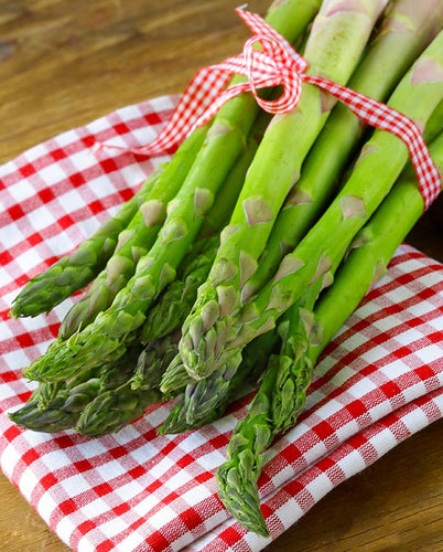 DeGroot Asparagus Mary Washington
