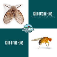 Maggie's Farm Drain & Fruit Fly Killer