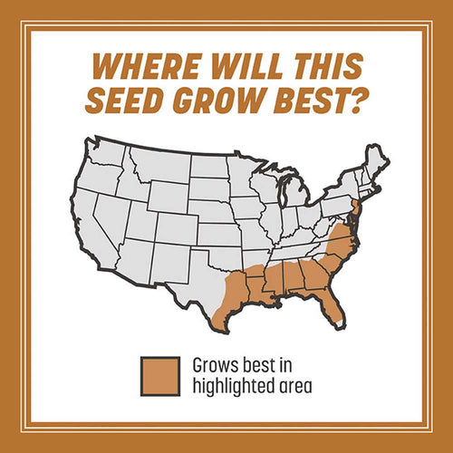 Pennington Pennington Centipede Grass Seed & Mulch