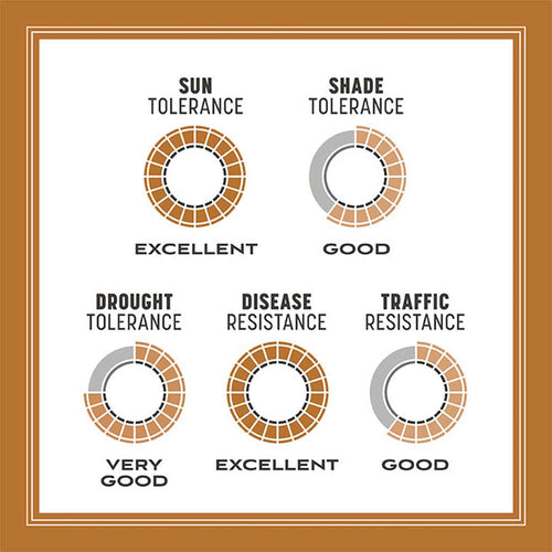 Pennington Pennington Centipede Grass Seed & Mulch