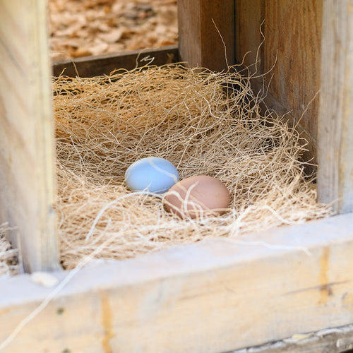 Happy Hen Nest Pads
