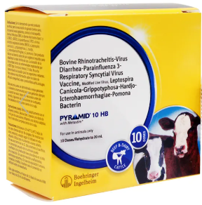 Boehringer Ingelheim Pyramid 10 Vaccine
