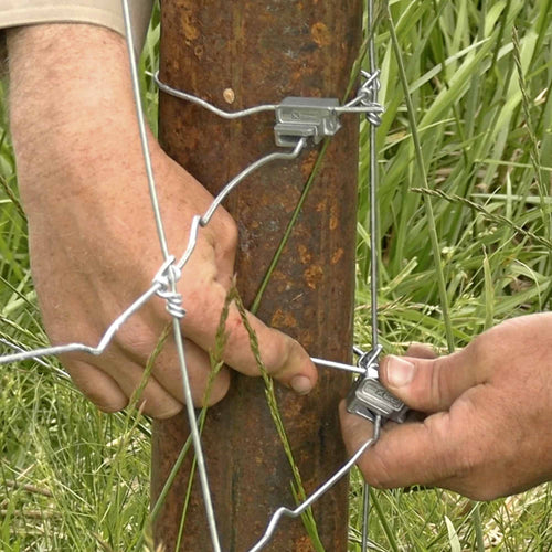 Stay Tuff END TERMINATION