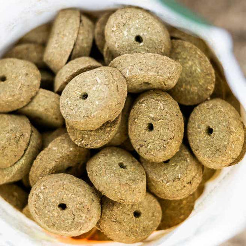 Standlee Apple & Pumpkin NutriBakes Horse Treats