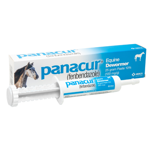 Merck Panacur (fenbendazole) Paste