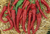 PEPPER LONG RED CAYENNE