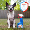 Adams Flea and Tick Spray for Cats and Dogs (16 oz)