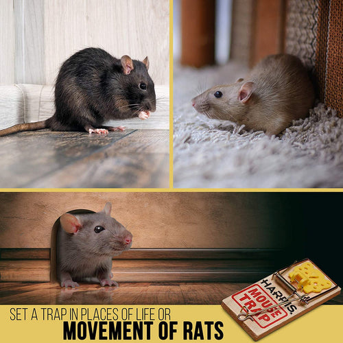 Harris Wooden Rat Trap