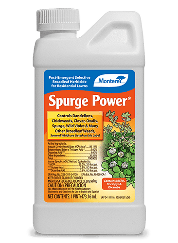 Monterey Lawn & Garden Spurge Power®