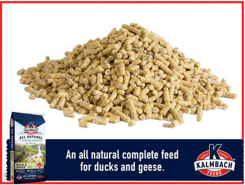 Kalmbach Duck, Goose & Swan Feed (50 Lb.)