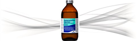 Oxytetracycline Injection 200